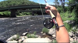 W4F  Fly Fishing quotBeaverkill Riverquot  Roscoe NY [upl. by Haraz]