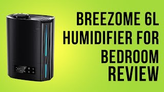 BREEZOME 6L Humidifier for Bedroom Review Pros amp Cons Explained [upl. by Lexis]