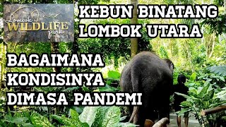 Kebun Binatang Lombok Utara Lombok Wildlife Park 2021 [upl. by Madelle]