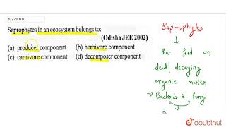 Saprophytes in an ecosystem belongs to [upl. by Hennessy]