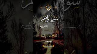 Quran islamicstatus trendingshorts bayan duet [upl. by Zerla]