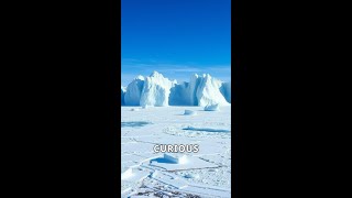 Unveiling Antarcticas Hidden Secrets shorts facts curiousfacts nature [upl. by Smiley486]