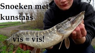 HLpredatorTEAM  Snoeken met kunstaas  Vis  vis [upl. by Borroff]