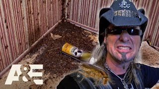 Top 3 HORRIFYING Roach Infestations  Billy the Exterminator  AampE [upl. by Jenine]