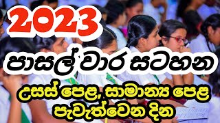 2023 School Terms  School Terms 2023  2023 පාසල් වාර සටහන [upl. by Hinman]