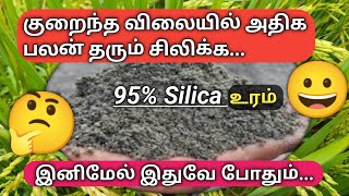 95 சிலிக்க உரம்  95 Silica fertilizer good result  Silica sand [upl. by Ateekahs415]