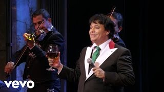 Juan Gabriel  Por Qué Me Haces Llorar En Vivo Desde Bellas Artes México 2013 [upl. by Mercado200]