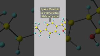 Lysine The Missing Nutrient You Need for Muscle amp Immunity [upl. by Zednanref]