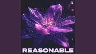 Reasonable Preview [upl. by Kcireddor]