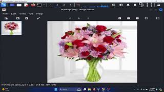 Steghide Install  Embed Files Into Images  Linux [upl. by Jair520]