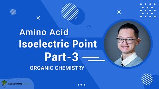 Isoelectric Point of Amino Acids Part 3 [upl. by Econah]