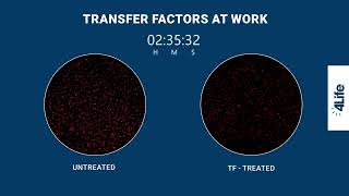 4Life Transfer Factors at Work [upl. by Lian]