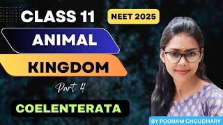 PHYLUM COELENTERATA  CNIDARIA  Animal kingdom L4  class 11  Neet 2025  Poonam Choudhary [upl. by Philcox]