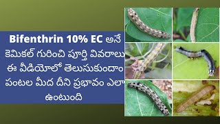 Bifenthrin Insecticide in telugu [upl. by Nahshunn731]