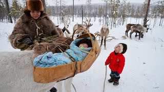 pregnancy and giving birth in arctic north nomads life [upl. by Chil365]