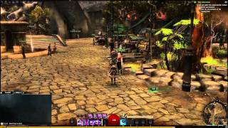 Guild Wars 2  Dye Vendor [upl. by Donna]