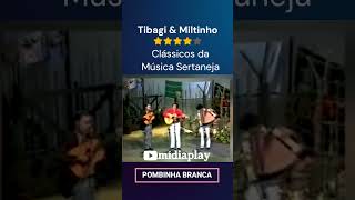 Pombinha Branca um Clássico da Música Sertaneja [upl. by Nileve]