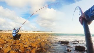 BITTER SWEET FISHING DAY BIG FISH AND HARD BATTLES STRUISBAAI TRIP Ep 2 [upl. by Skardol]