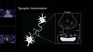 Zooming Into Synapses Tips for Using SMLM in Neuroscience Research [upl. by Martens90]