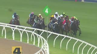 Rosehill Gold Cup 2024  FAWKNER PARK 3YO Qlty G3 Group 3 Rosehill 2 November [upl. by Audres226]