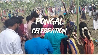 College Pongal Celebration 2024  JNNIE Chennai  Celebration with friends [upl. by Nelan724]