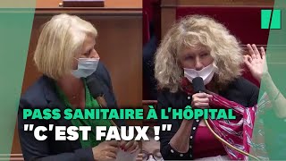 quotIci on ne désinforme pasquot tensions à lAssemblée après les propos polémiques de Martine Wonner [upl. by Attenauqa405]