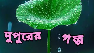 মরমী গল্পঅবসরের গল্পবাংলা গল্পBengali Audio StoryBangla golpoJhimly r Sathe Rohoshy Golpo [upl. by Kenley]