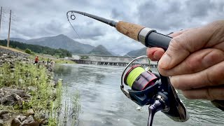 Daiwa Fuego LT 4000DC Review  2024 Early Season Shad Fishing Bonneville Dam Washington [upl. by Marquis]