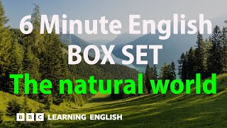 BOX SET 6 Minute English  The natural world English megaclass 30 minutes of new vocabulary [upl. by Haleigh659]