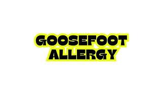 GOOSEFOOT ALLERGY [upl. by Ravilob]