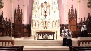 Gospel Procession Tutorial for Altar Servers [upl. by Aicnetroh]