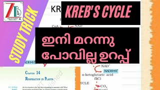 Krebs cycleTCA cycle study trickplus one biologyRespiration in plantsmalayalam tutorialzobot [upl. by Acimahs596]