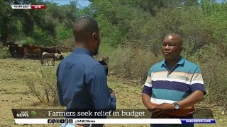 MTBPS 2024  Livestock farmers in Limpopo seek drought relief from budget [upl. by Goldberg]