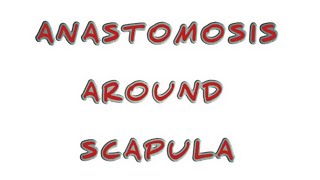 ANASTOMOSIS AROUND SCAPULA  CLINICAL OF ANASTOMOSIS AROUND SCAPULA [upl. by Gardiner]