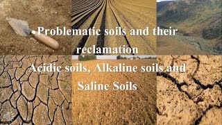 Problematic soils and the reclamation of acidic alkaline and saline soils Prof S R ShindeKKWagh [upl. by Adachi]