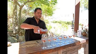 Espinosa Vineyards North County San Diego Wine Tour [upl. by Aicenav]