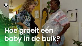 Hoe groeit een baby in de buik [upl. by O'Connor741]