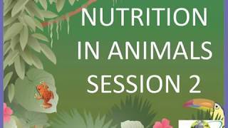 7th CBSE science Nutrition in Animals video lesson 2 [upl. by Esahc]