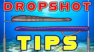 Drop Shot Tips For Hot Summer Bass And The Mistakes To Avoid [upl. by Gertrudis41]