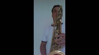 Boquilha Ivan Meyer quotsom naturalquot Sax tenor Conductor [upl. by Imerej]