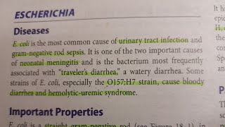 EColi  MICROBIOLOGY [upl. by Reinald585]