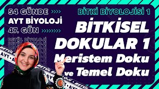 BİTKİ BİYOLOJİSİ FULL TEKRAR AYT 2025 [upl. by Cathrine]