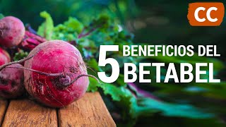 5 Beneficios del Betabel  Ciencia de la Comida [upl. by Renata642]