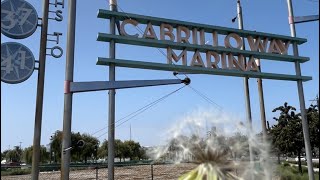 Cabrillo Way Marina ⚓️ sanpedroca walkingvideo relaxing marina goodvibes [upl. by Stefa]