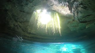 Snorkeling In Devils Den Spring FL [upl. by Cirederf]