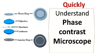 Phase contrast microscope [upl. by Suired563]