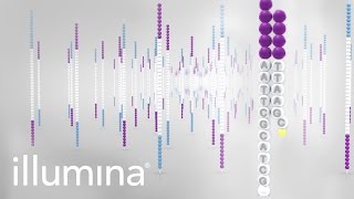 Overview of Illumina Sequencing by Synthesis Workflow [upl. by Axel]