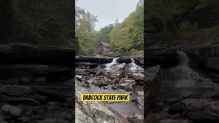 Babcock state park travel wv westvirginia babcockstatepark waterfall [upl. by Ahsenyl]