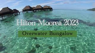 Hilton Moorea Overwater Bungalow 2023 [upl. by Anafetse339]