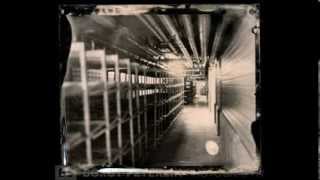 Wet Plate Collodion project Great Depression by Borut Peterlin [upl. by Atnoek438]